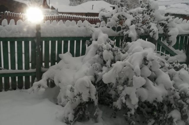 Опубликовано фото и видео первого снега на Алтае 2020