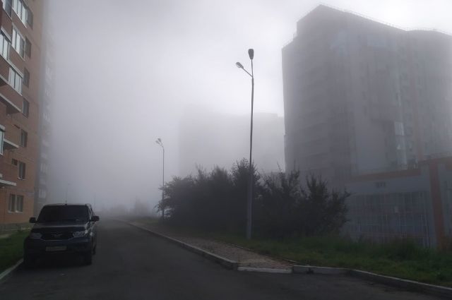 МЧС предупреждает о тумане в Петербурге 7 октября