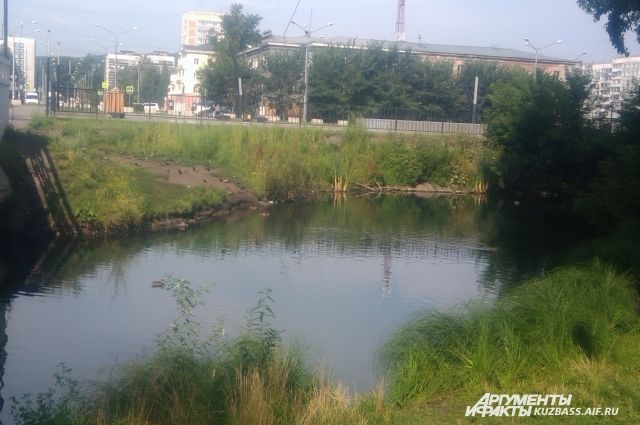 Новокузнечане предположили, что загрязнит реку могли местные промышленные предприятия.