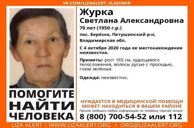 70-летняя пенсионерка пропала во Владимирской области