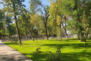 В планах по нацпроекту «Жилье и городская среда» — благоустроить 120 дворов и 55 общественных пространств в следующем году. В 2020 году — 122 придомовые территории и 55 мест отдыха.