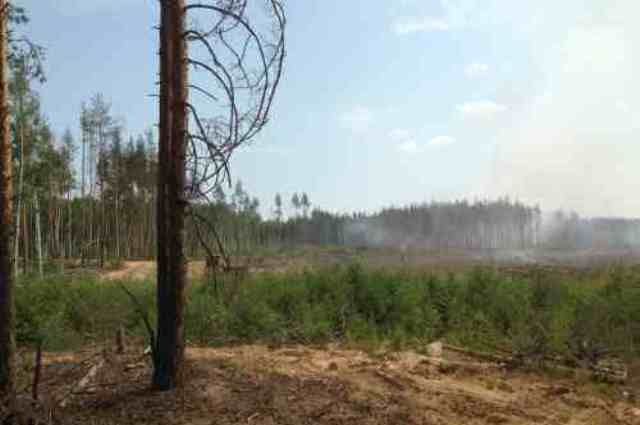 Выксу окутало дымом от пожаров в Рязанской области