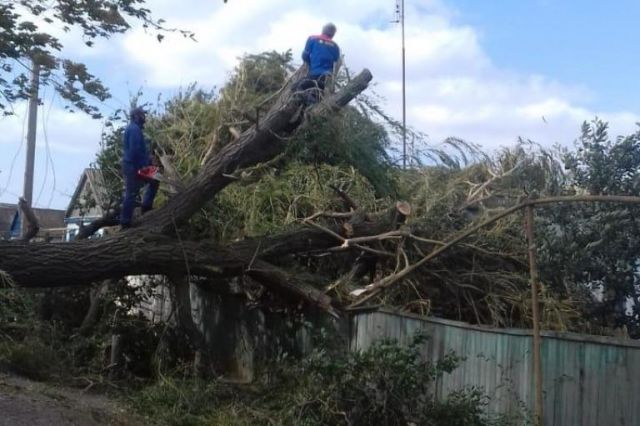 В Дагестане восстанавливают нарушенное из-за ветра электроснабжение