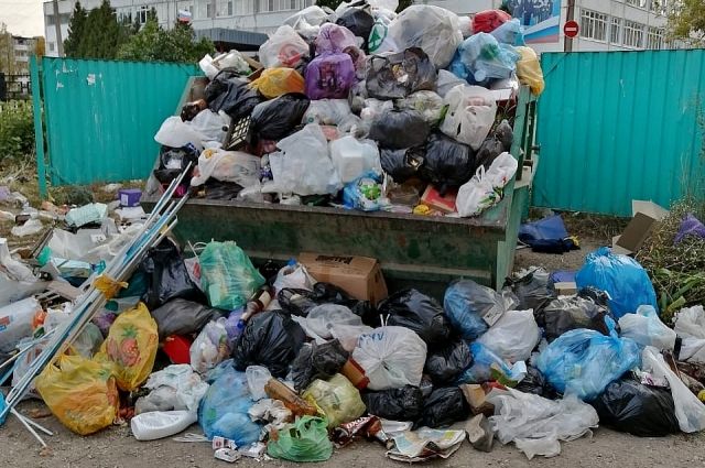 В Ярославле активисты просят мэрию убрать собранный ими мусор