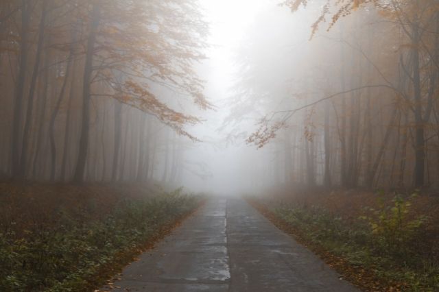 В Курской области с 12 на 13 октября местами ожидается туман
