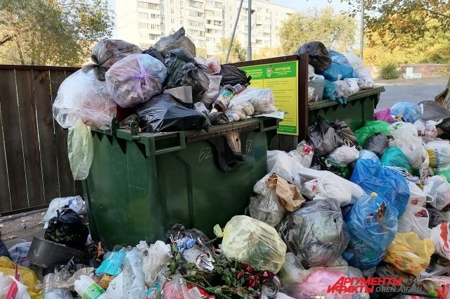В Оренбурге на закупку 44 контейнеров для мусора потратят более 460 тысяч рублей.