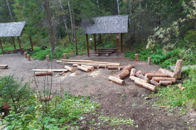 Общественников возмутила вырубка деревьев на «Красноярских столбах»