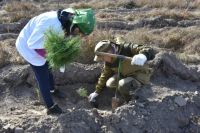 В Спасском районе во время акции «Сохраним лес» посадили 22 тысячи сосен.