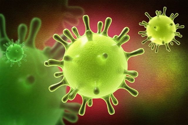 В Нижнем Новгороде выявили 138 новых случаев коронавируса