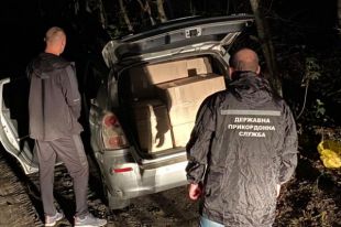 В Одесской области пограничники со стрельбой задержали контрабандиста.
