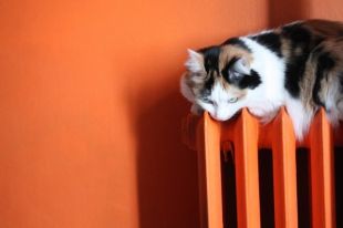 В Харькове включают отопление: дата, причина
