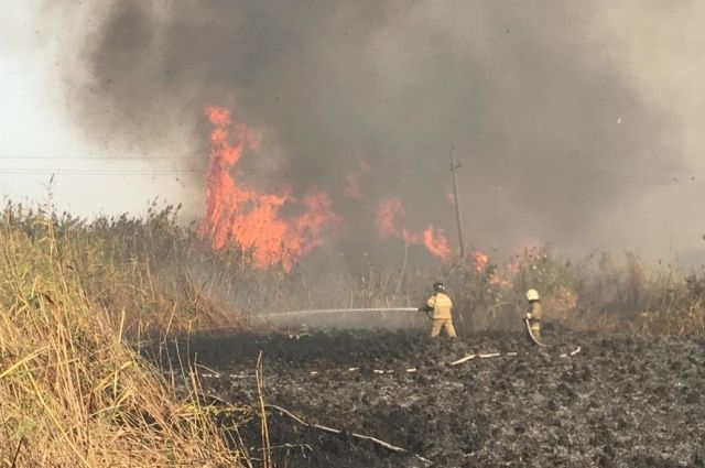 Чрезвычайная пожароопасность прогнозируется в Ростове-на-Дону