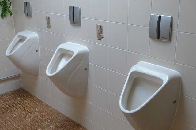 Архитекторы показали, как будут выглядеть туалеты в Челябинске