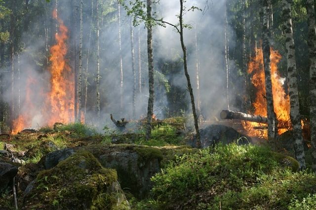 Режим повышенной готовности из-за пожаров введён в Челябинской области