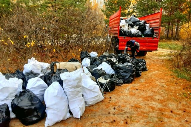 С Андреевского озера вывезли 1,7 тонны мусора