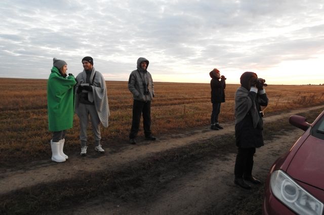 Волонтёры помогают уральскому орнитологу Вадиму Рябицеву считать журавлей.