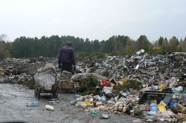 Не место для мусора. Куда сообщать о стихийных свалках в Московском регионе