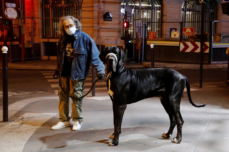 Мужчина выгуливает свою собаку во время ночного комендантского часа.