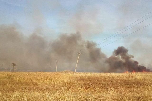 В Саратовской области огнеборцы выезжали тушение травы 77 раз