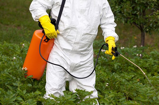 Брянских предпринимателей наказали за нарушения при применении пестицидов
