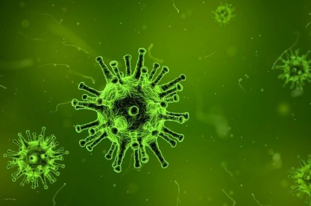 Случаи повторного заражения коронавирусом нашли в Челябинской области