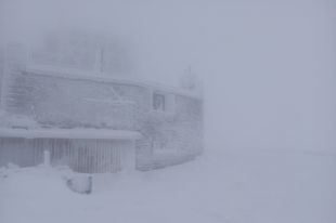 В Карпатах выпало до семи саниметров снега