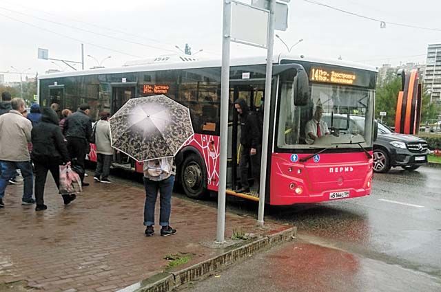 В столкновении автобуса со столбом в Коврове пострадали 7 человек
