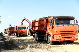 Уборочные работы – 2020 в регионе завершаются.
