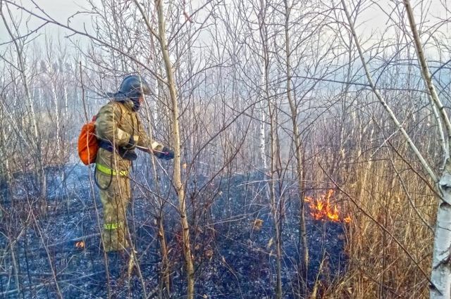 Крупный лесной пожар локализовали в Челябинской области