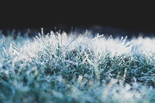 Синоптики прогнозируют дождь со снегом в Саратовской области