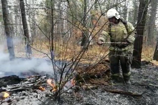 Крупный лесной пожар ликвидирован в Челябинской области