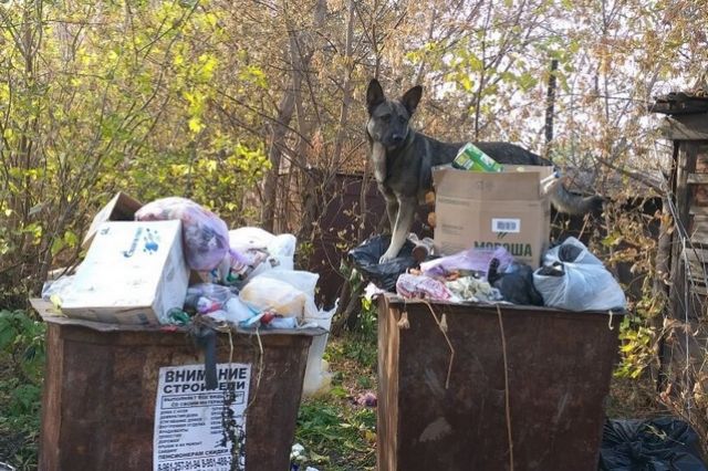 Баки исчезают. В Челябинской области намечается второй мусорный коллапс