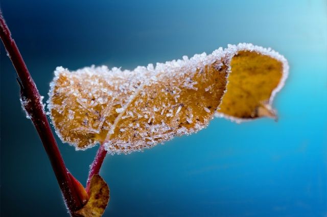 На Омскую область идёт резкое похолодание со снегом и заморозками