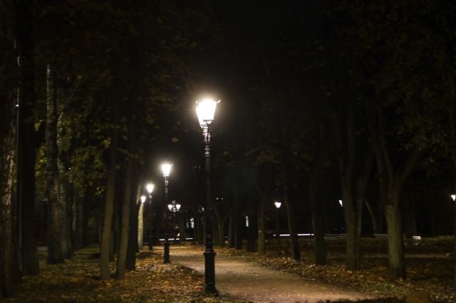 В сквере Победы в Павловске досрочно установили освещение