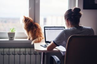 Mars Petcare (бизнес-сегмент Mars, Incorporated) и Яндекс.Маркет провели исследование среди владельцев домашних животных в крупных городах России и выяснили, как за год изменились отношения между хозяевами и питомцами.