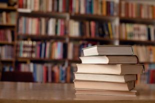 В Украину запретили ввозить три русские детские книги: подробности