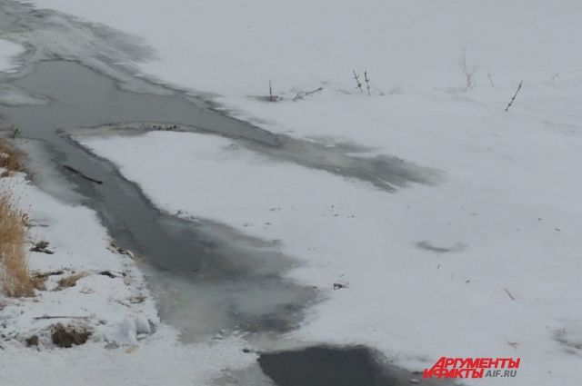 Тюменцев предупреждают об опасности тонкого льда