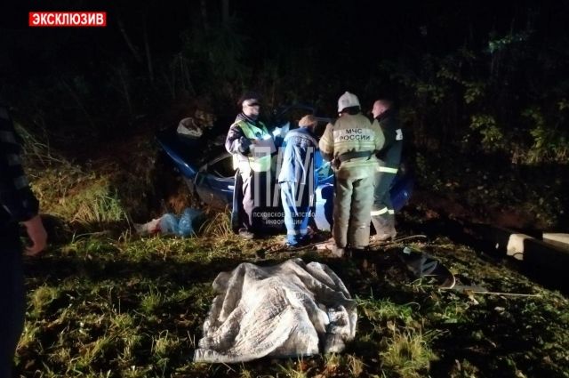 Водитель ВАЗ погиб при столкновении с лосем на трассе в Псковской области