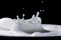 В Удмуртии отмечен рост производства молока
