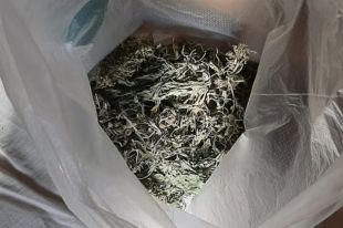 В Саракташе возбуждено уголовное дело за хранение наркотиков.