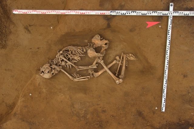 Археологи нашли безынвентарное погребение человека в грунтовой могиле, относящееся к эпохе раннего средневековья.