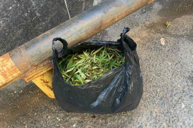 В Тольятти у мужчины изъяли мешок марихуаны