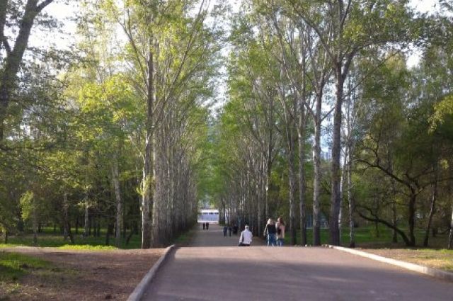 Парк около Дворца молодёжи в Екатеринбурге откроют для прогулок в ноябре