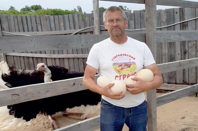Сергей Мамеев из Стародубского района - хозяин необычной птицефермы, где по соседству с курами и утками живут экзотические чёрные страусы.