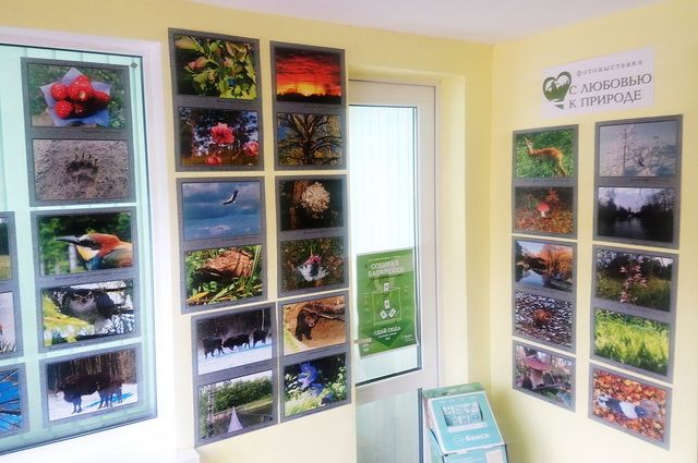 В заповеднике «Брянский лес» открыта фотовыставка «С любовью к природе»