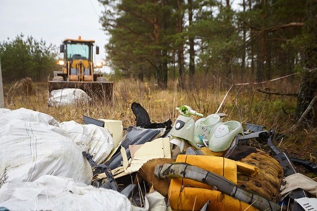 В Тульской области за выброс мусора в неположенных местах будут штрафовать