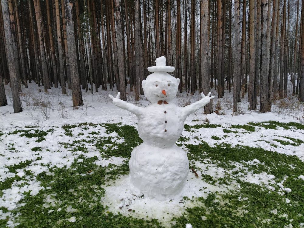 Гусеница с большими цепями на снегу