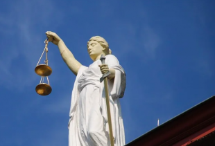 Суд назначил наказание жителю Сорочинка за незаконное выращивание наркосодержащих растений.