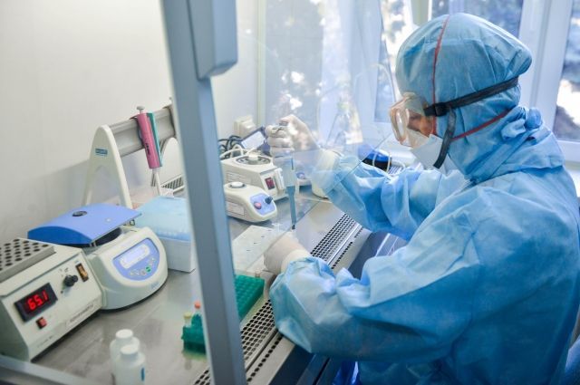 За сутки в Рязанской области подтвердили 98 случаев коронавируса