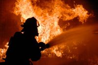 В течение прошедшей недели во время пожаров в Украине погибли 27 человек